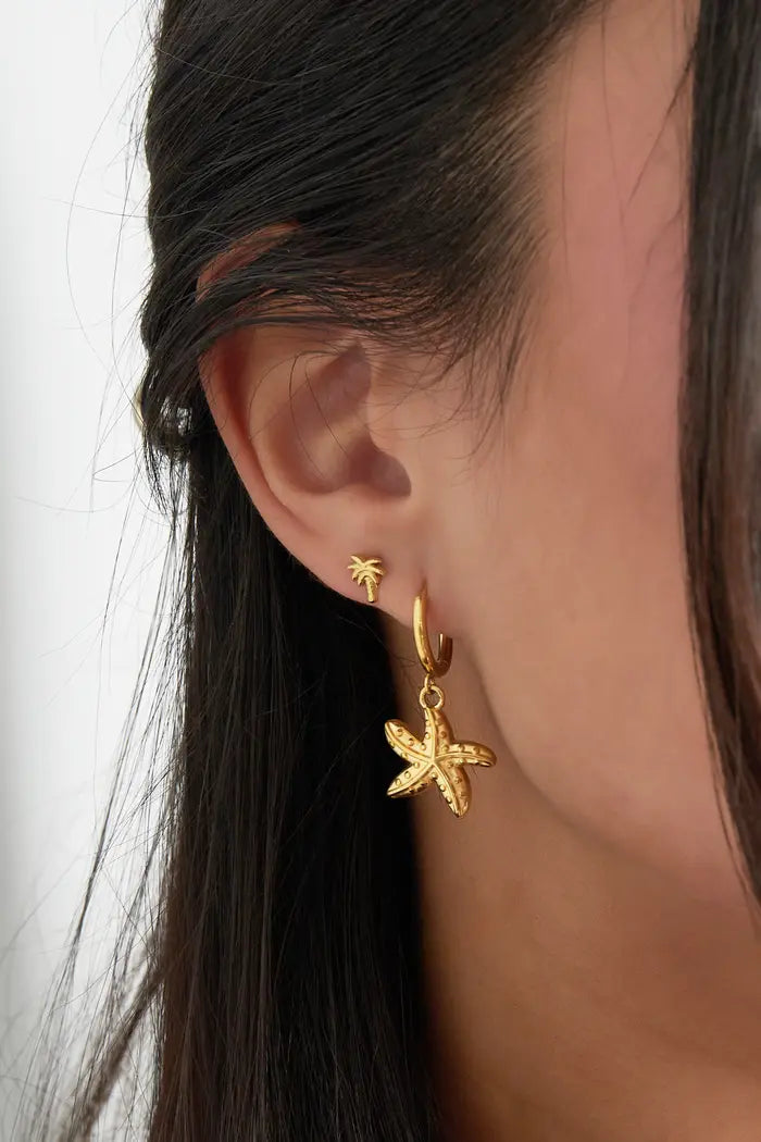 Starfish Earrings