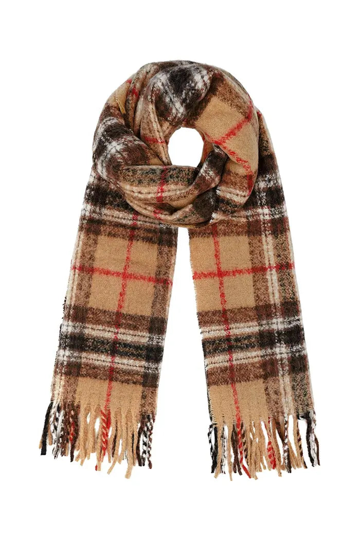 Scarf Quinty